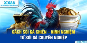 cách soi gà chiến ảnh đại diện