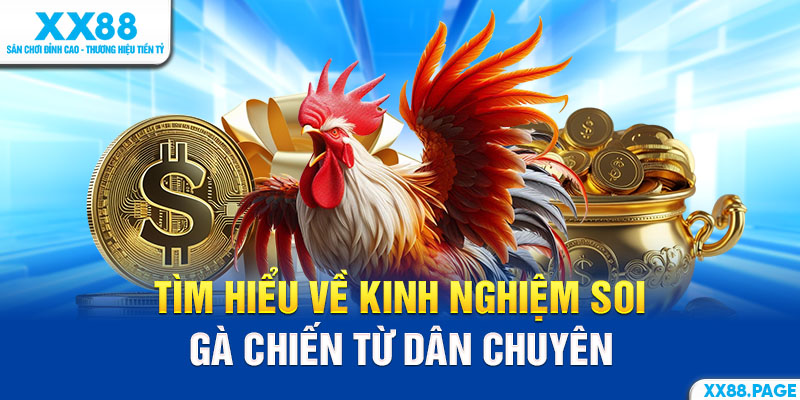 Cách soi gà chiến từ dân chuyên