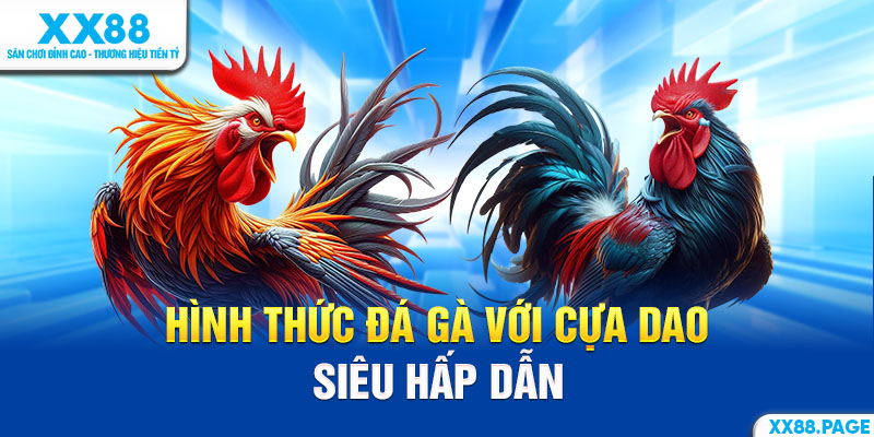 đá gà cựa dao siêu hấp dẫn