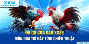 đá gà cựa dao ảnh đại diện