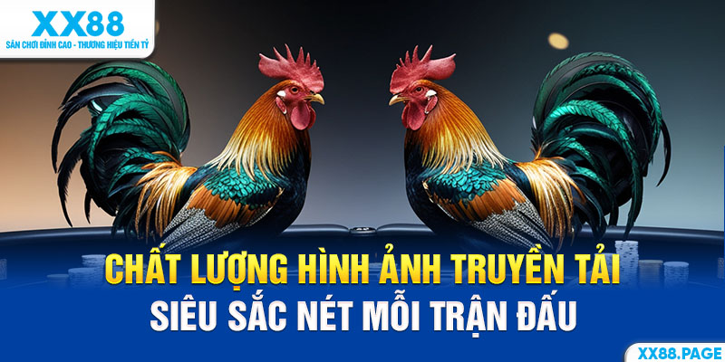 đá gà xx88 chất lượng truyền tải