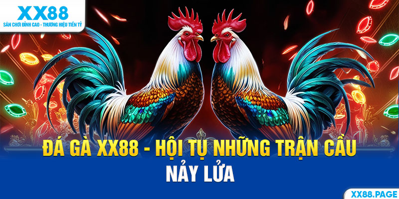 đá gà xx88 trận cầu nảy lửa
