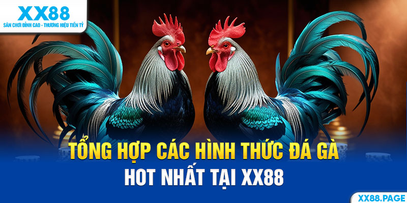 hình thức đá gà xx88